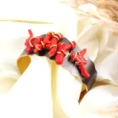 Özel Tasarım Mercan Gümüş Bileklik